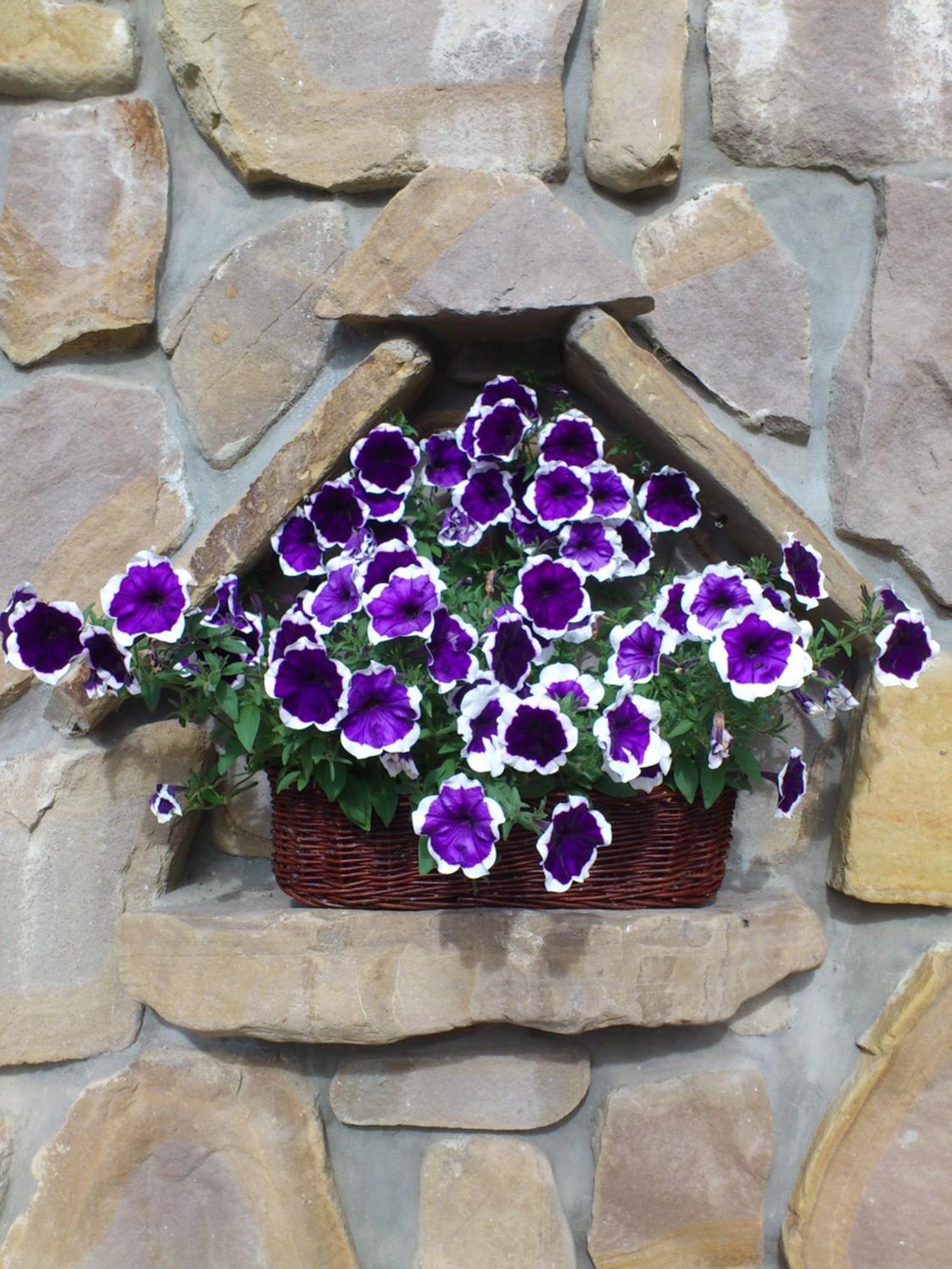 Pokoje Goscinne Pod Giewontem Zakopane Exterior foto